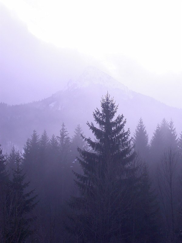 Winter in Bohinj, Slovenia - 07.JPG